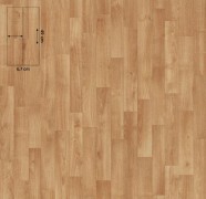 11162 tropical beech